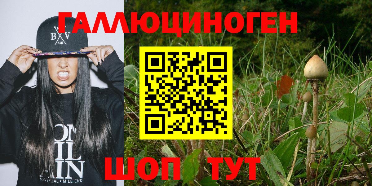 Галлюциногенные грибы мицелий  как найти закладки  Семёнов  Вход с VPN 